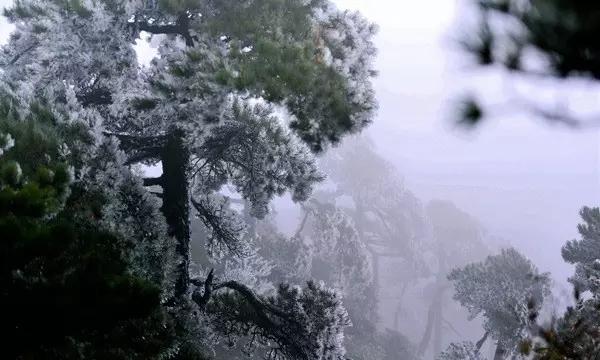 数学测试题
